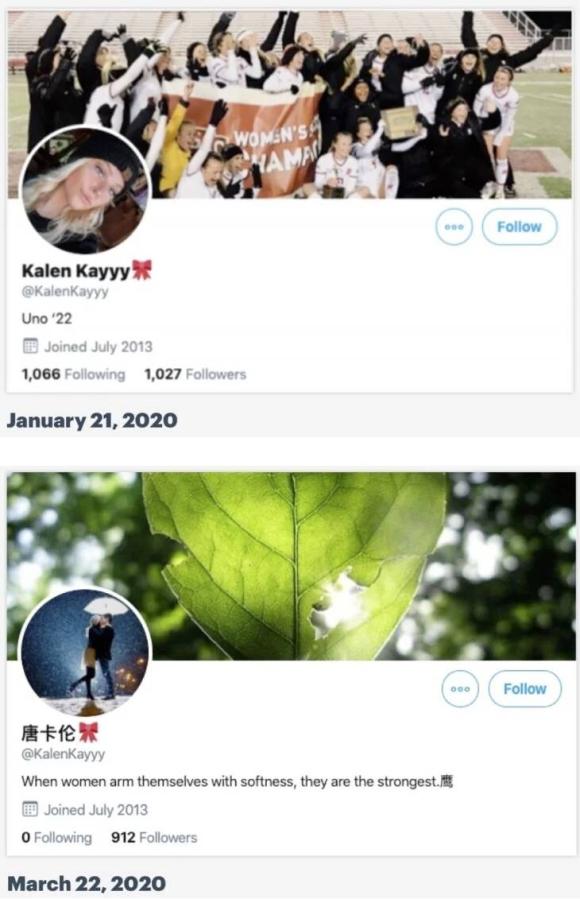Figure 5: Screenshots of profile changes to a hijacked account on January 21, 2020 (top) and March 16, 2020 (bottom). Credit: Allen Tan and Agnes Chan/ProPublica.