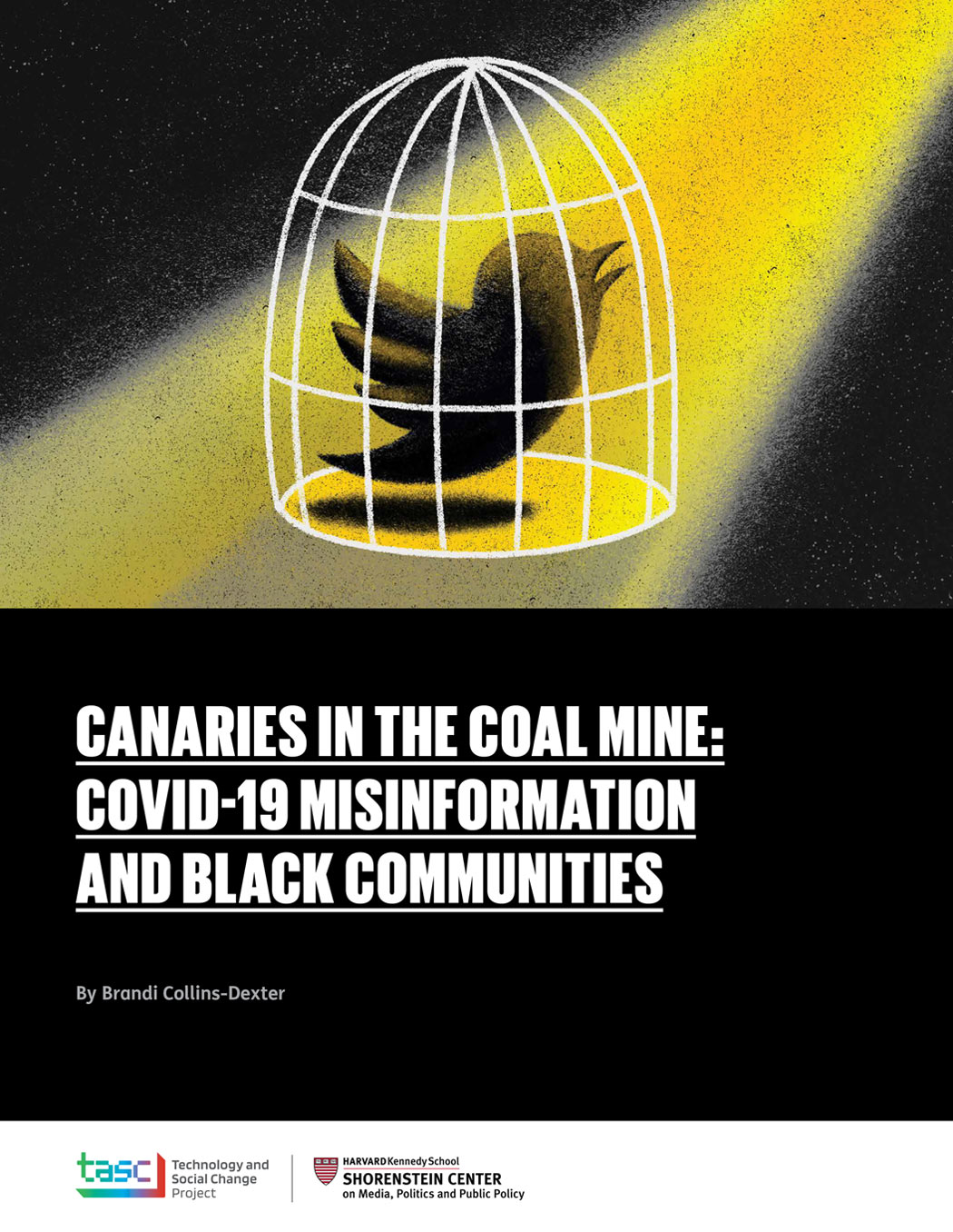Canaries in the Coal Mine: Covid-19 Misinformation and Black Communities report cover