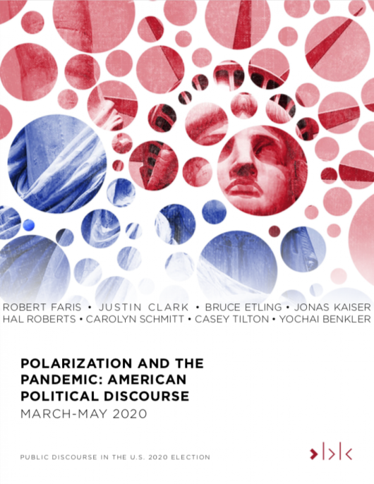 Polarization-and-the-Pandemic.png