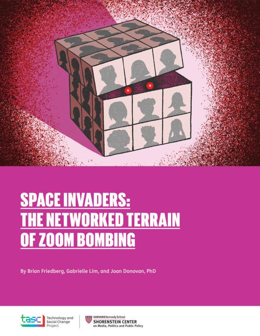 Zoom bombing Cover Image