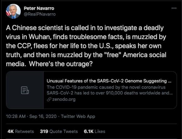 A tweet by Peter Navarro that links to the Yan Report. Screenshot by TaSC.
