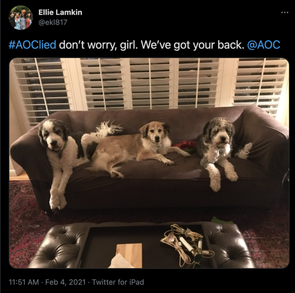 Figure 13: A tweet directed at Ocasio-Cortez, containing a picture of three dogs and the #AOClied hashtag. Credit: TaSC.
