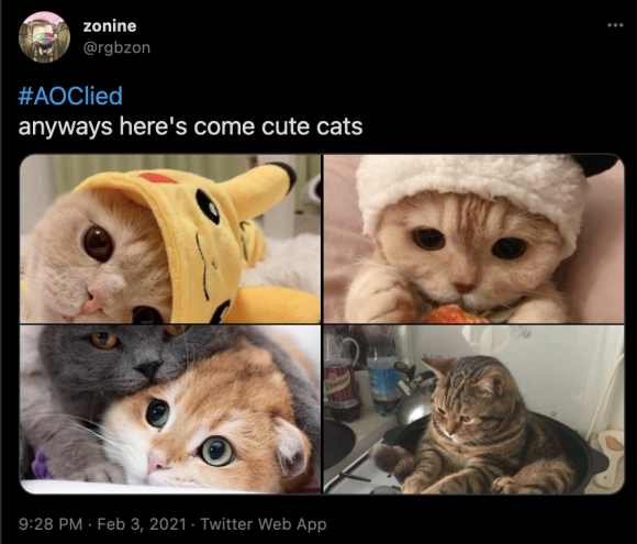Figure 15: A tweet containing several pictures of cats and the #AOClied hashtag. Credit: TaSC.