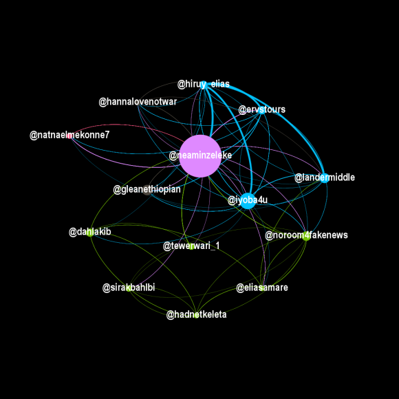 Figure 12: This chart shows the overlap between the most influential accounts in the Eritrean networks and GLEAN, as of March 7, 2021. Green nodes are Eritrean accounts, while blue and pink nodes are operated by Ethiopians.